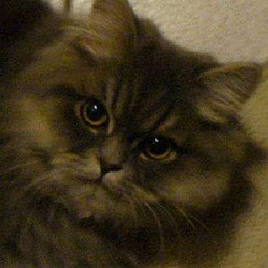 Portrait von Dipl.-Kffr. Test x A-x-Autor